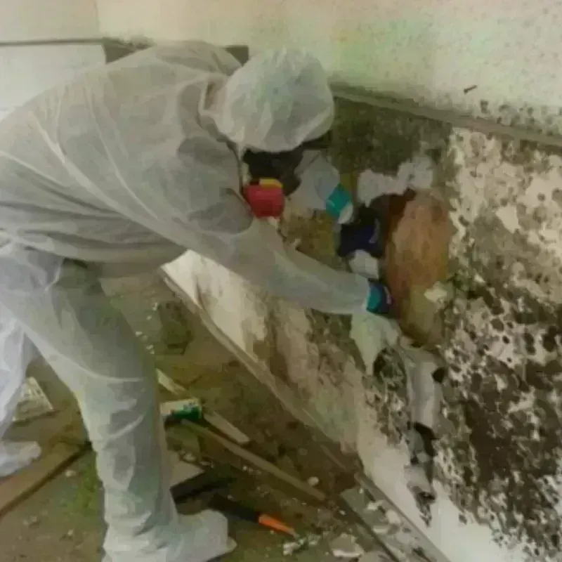 Mold Remediation and Removal in Ellisburg, NJ